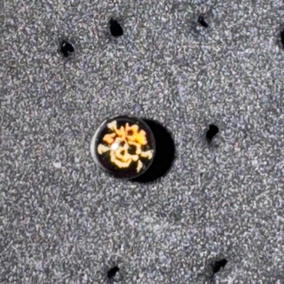 3mm Round Bandana Skull and Crossbones Design 20 gauge nose rings - Picture 1 of 12